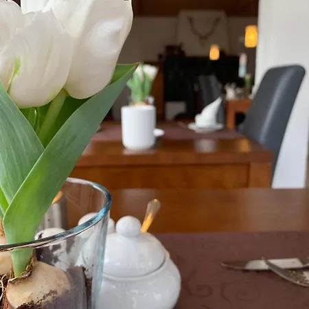 Palko Hotel Dingolfing