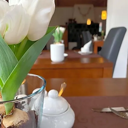 Hotel Palko 3*