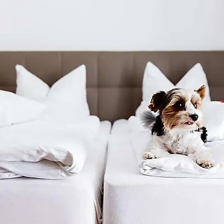 Hotel Palko 3*